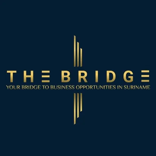 THE BRIDGE BUSINESS DIASPORA BEMIDDELINGSBUREAU