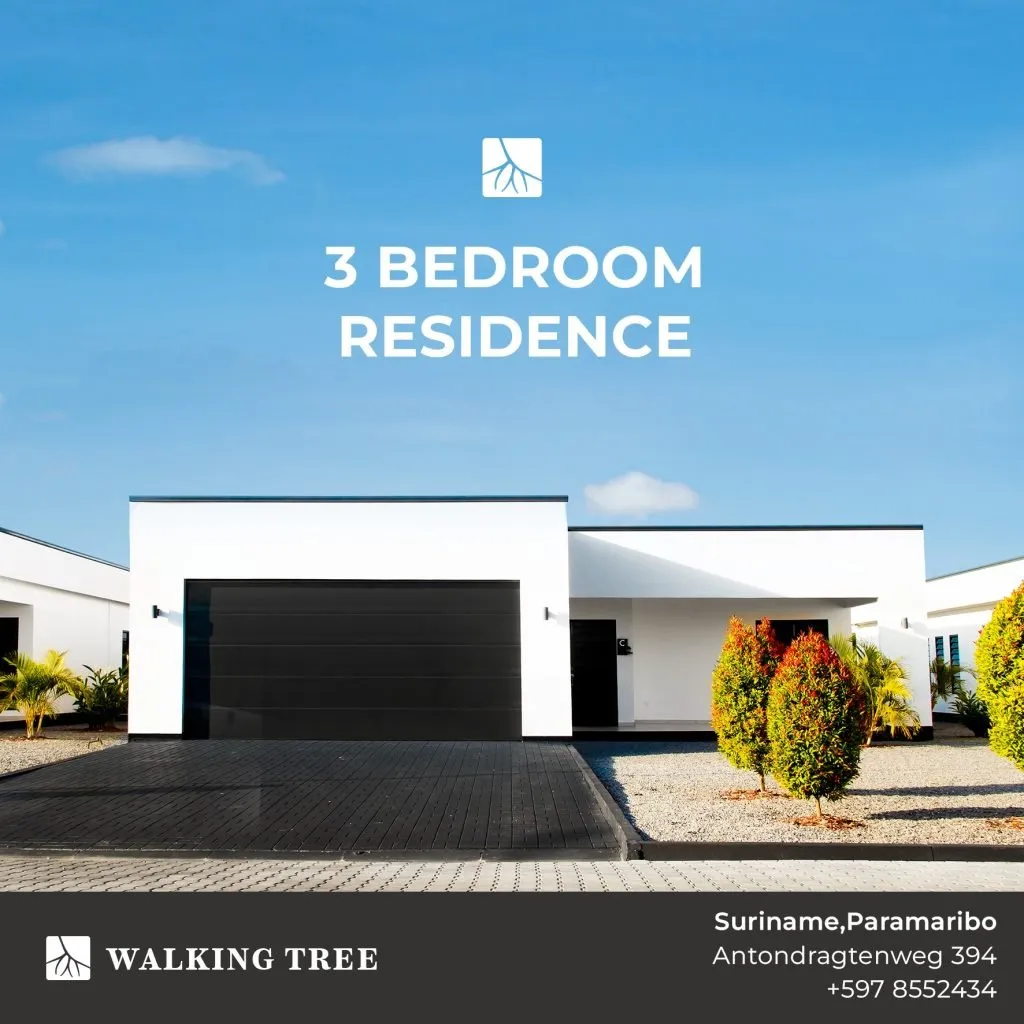 Walking Tree Apartments foto 3