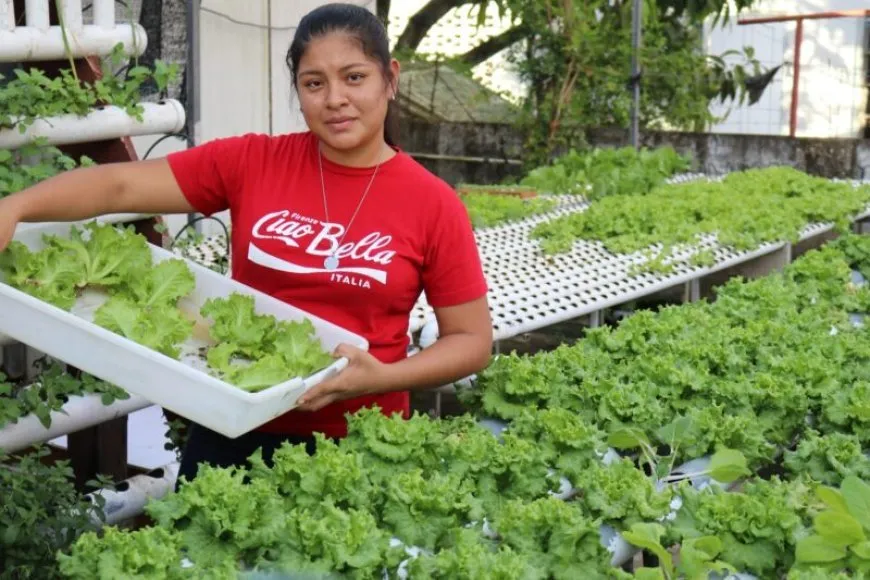 Regering wil agrosector versterken met investeringen en internationale samenwerking