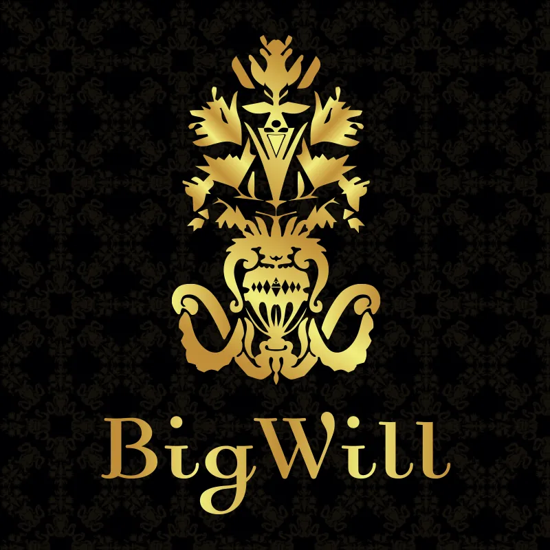 BIG Will Group