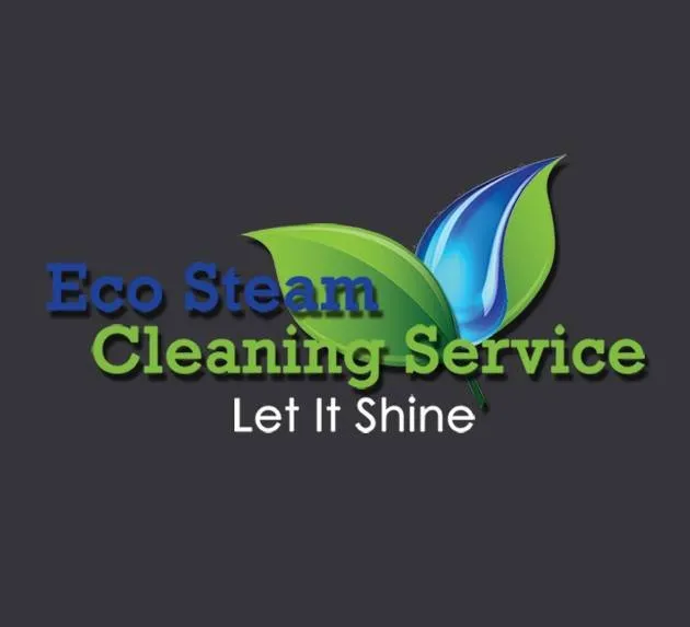 Eco Steam Cleaning Service