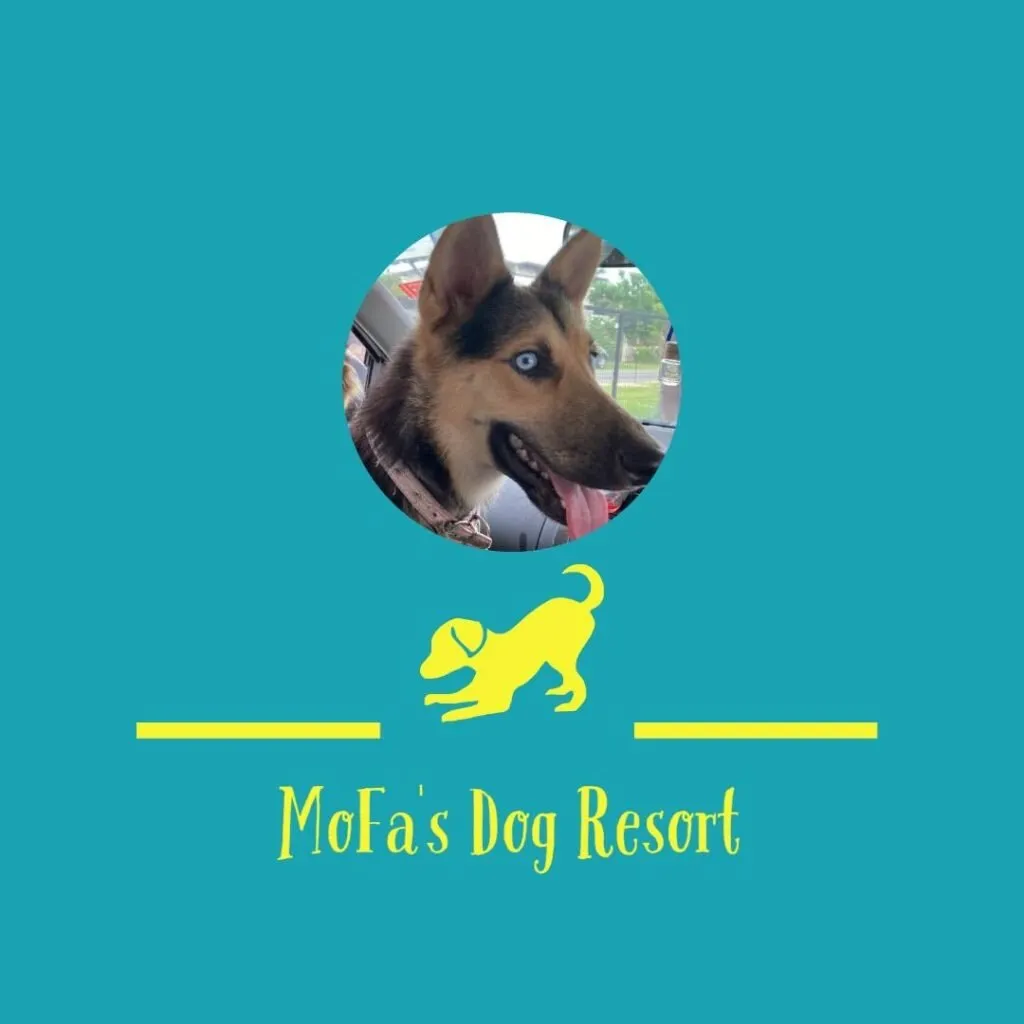 MoFa’s Dog Resort