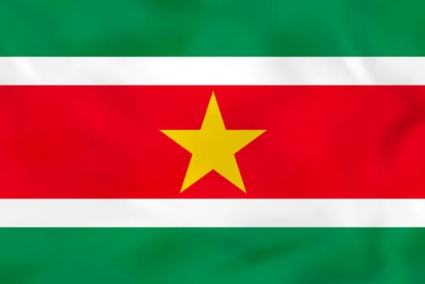 Surinam Ambassy in India