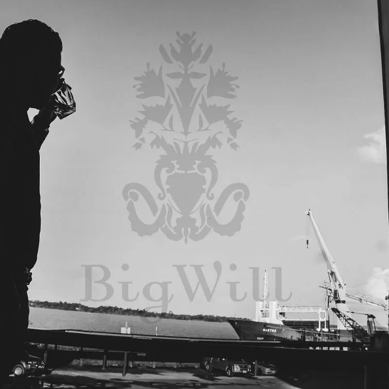 BIG Will Group foto 2