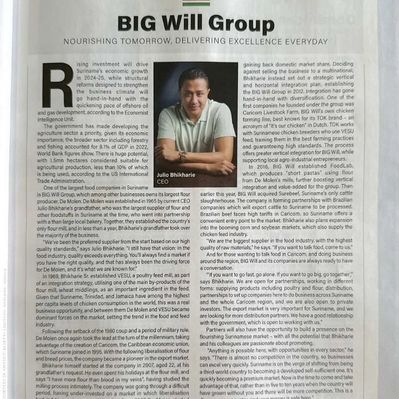 BIG Will Group foto 4