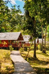 acces travel 7