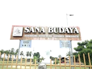 sana budaya 5