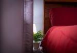 Vakantie woningen in Suriname